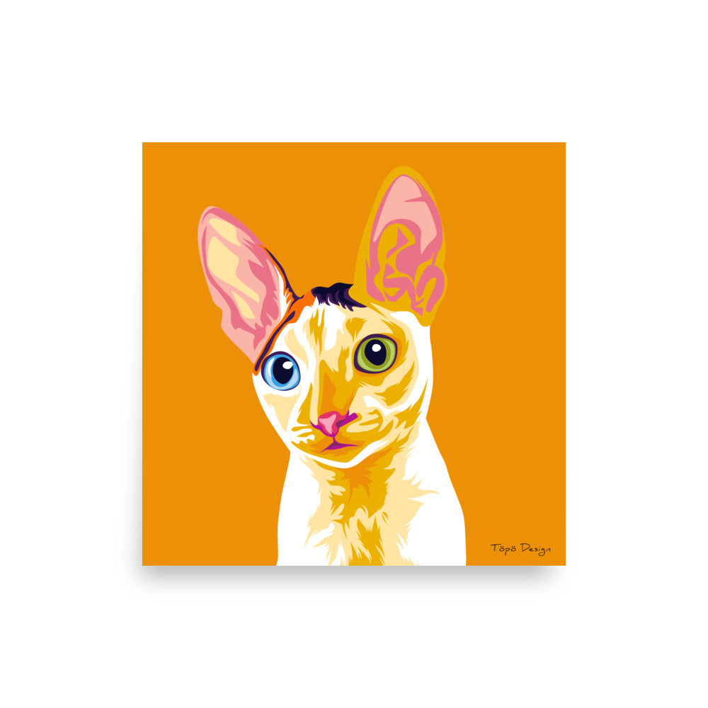 Cornish Rex kissa Juliste, Pop Art