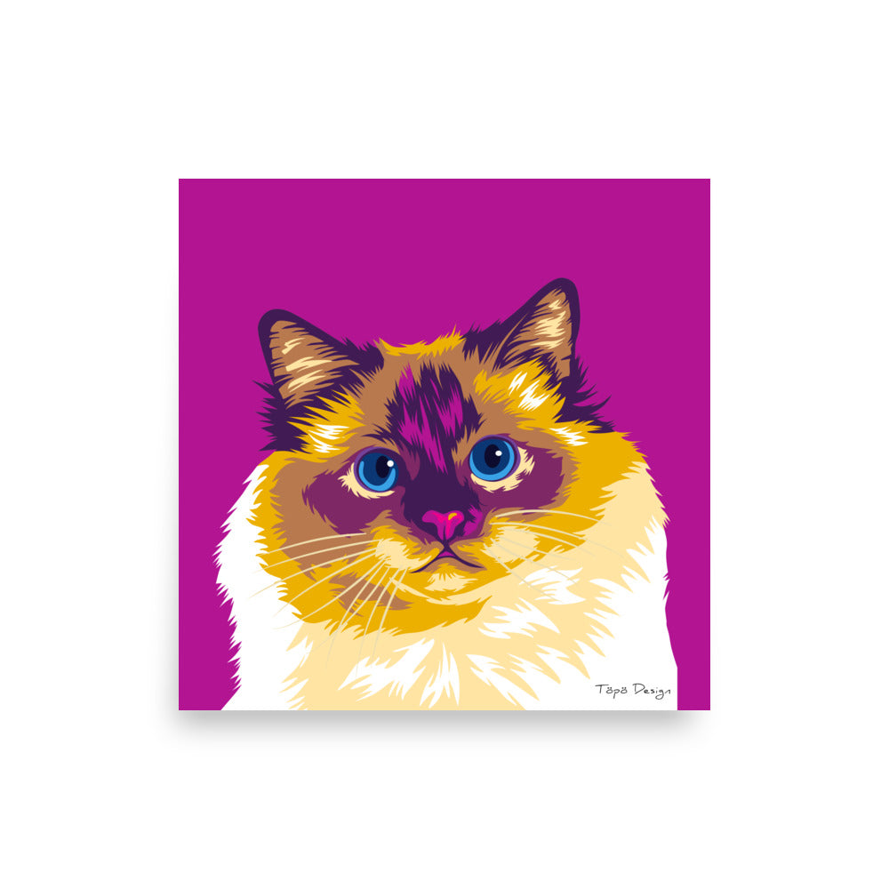 Pyhä Birma kissajuliste, Pop Art