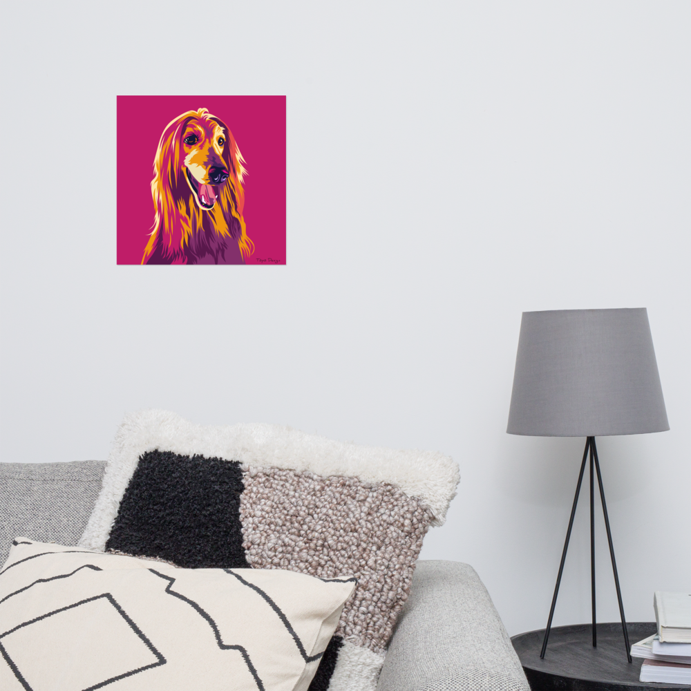 Afgaaninvinttikoira Juliste, Pop Art