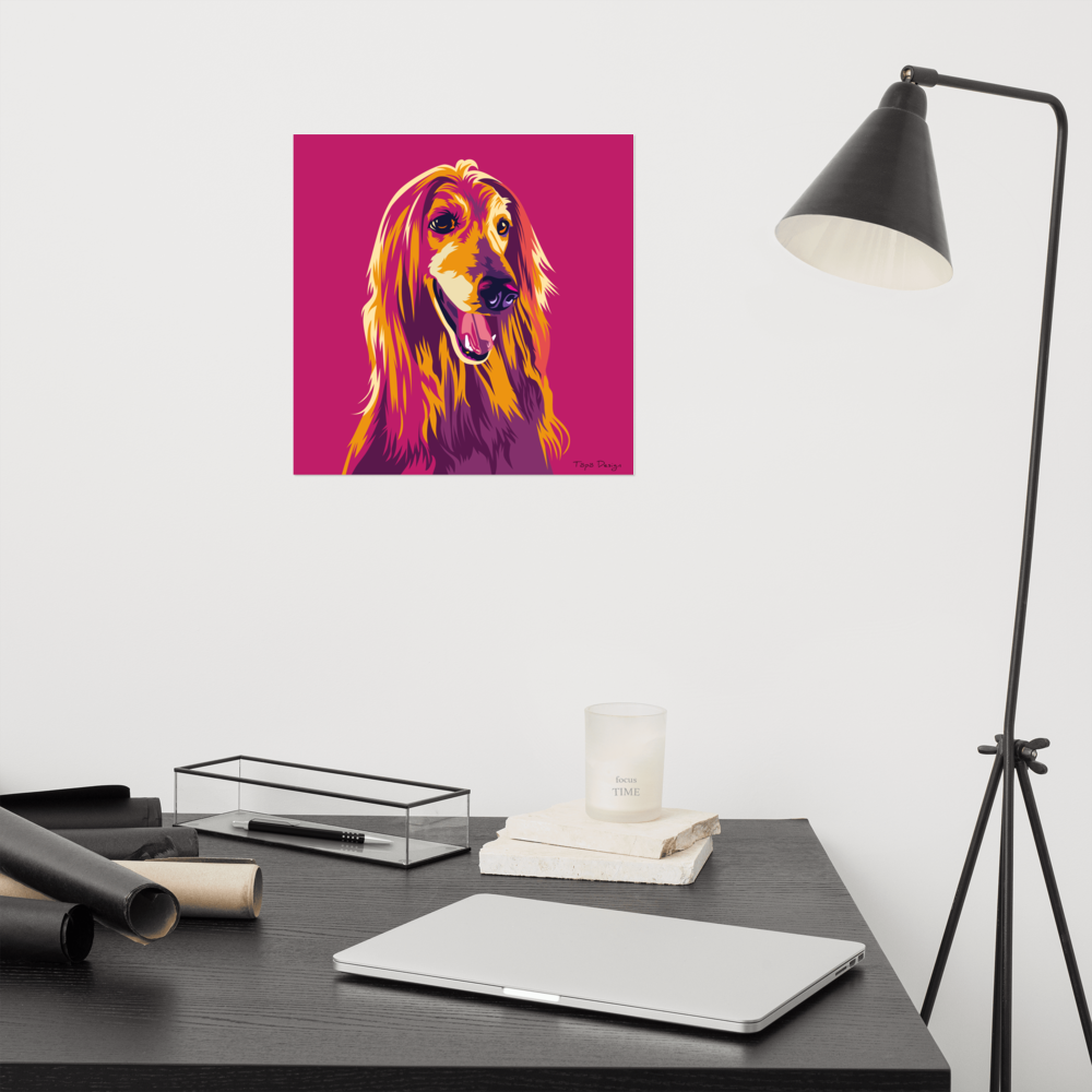 Afgaaninvinttikoira Juliste, Pop Art