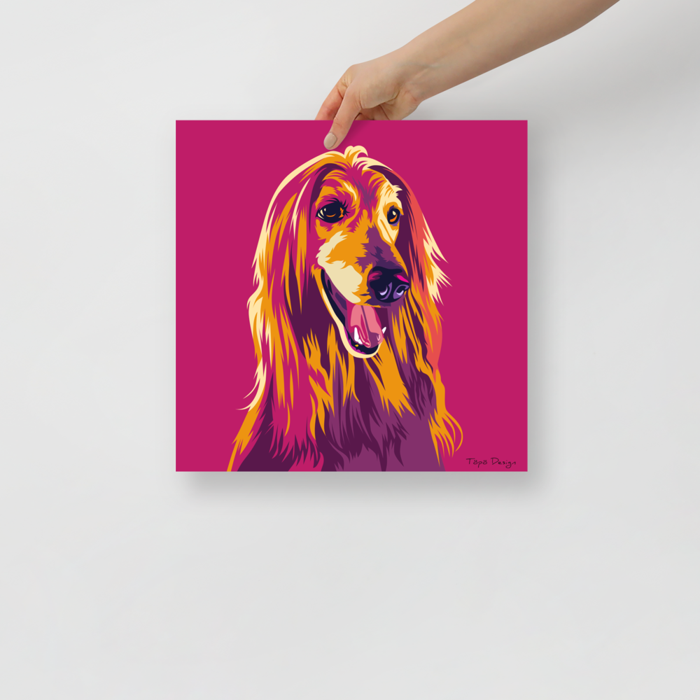 Afgaaninvinttikoira Juliste, Pop Art