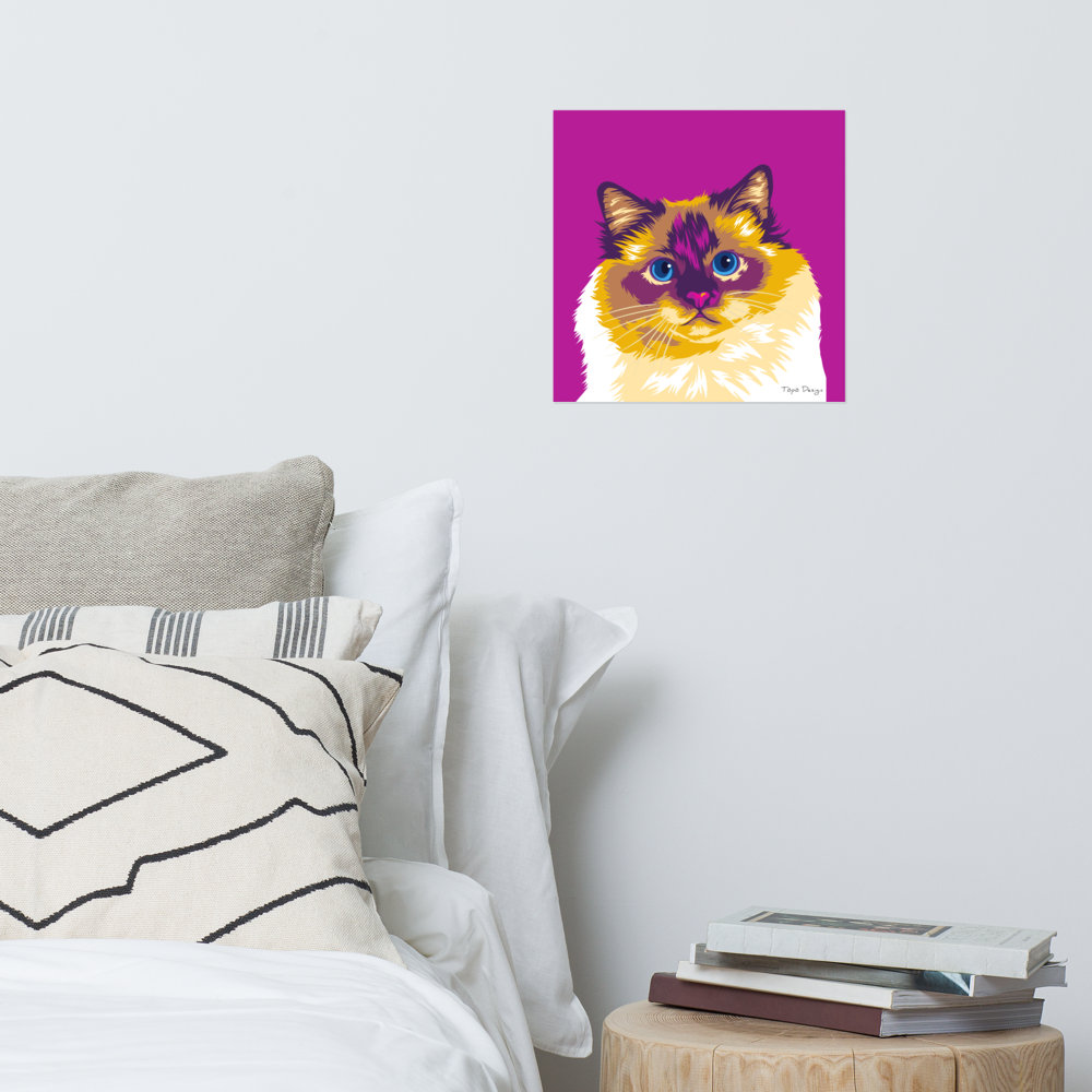 Pyhä Birma kissajuliste, Pop Art