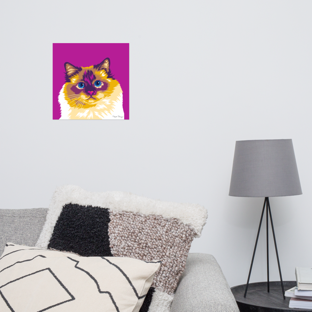 Pyhä Birma kissajuliste, Pop Art