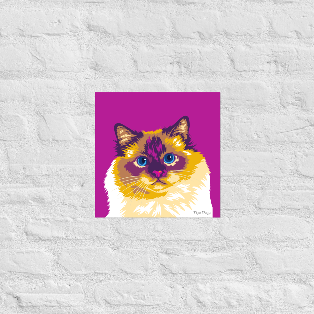 Pyhä Birma kissajuliste, Pop Art