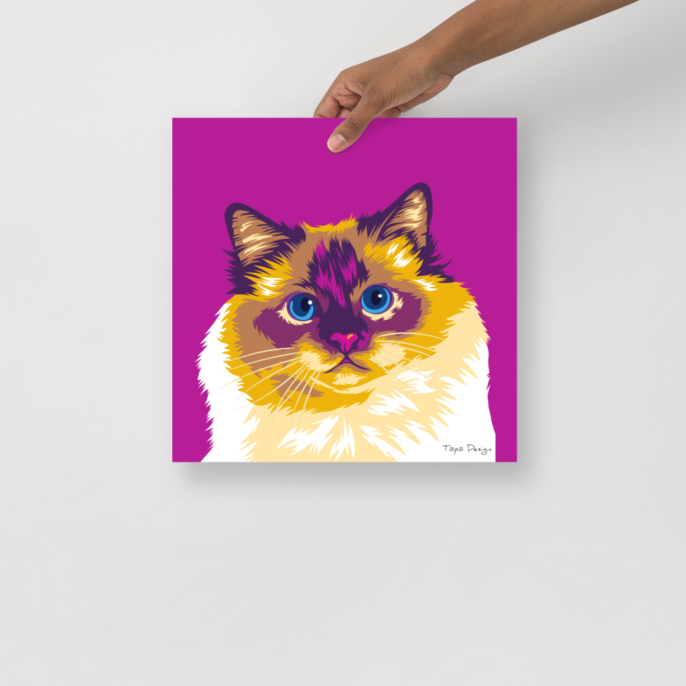 Pyhä Birma kissajuliste, Pop Art