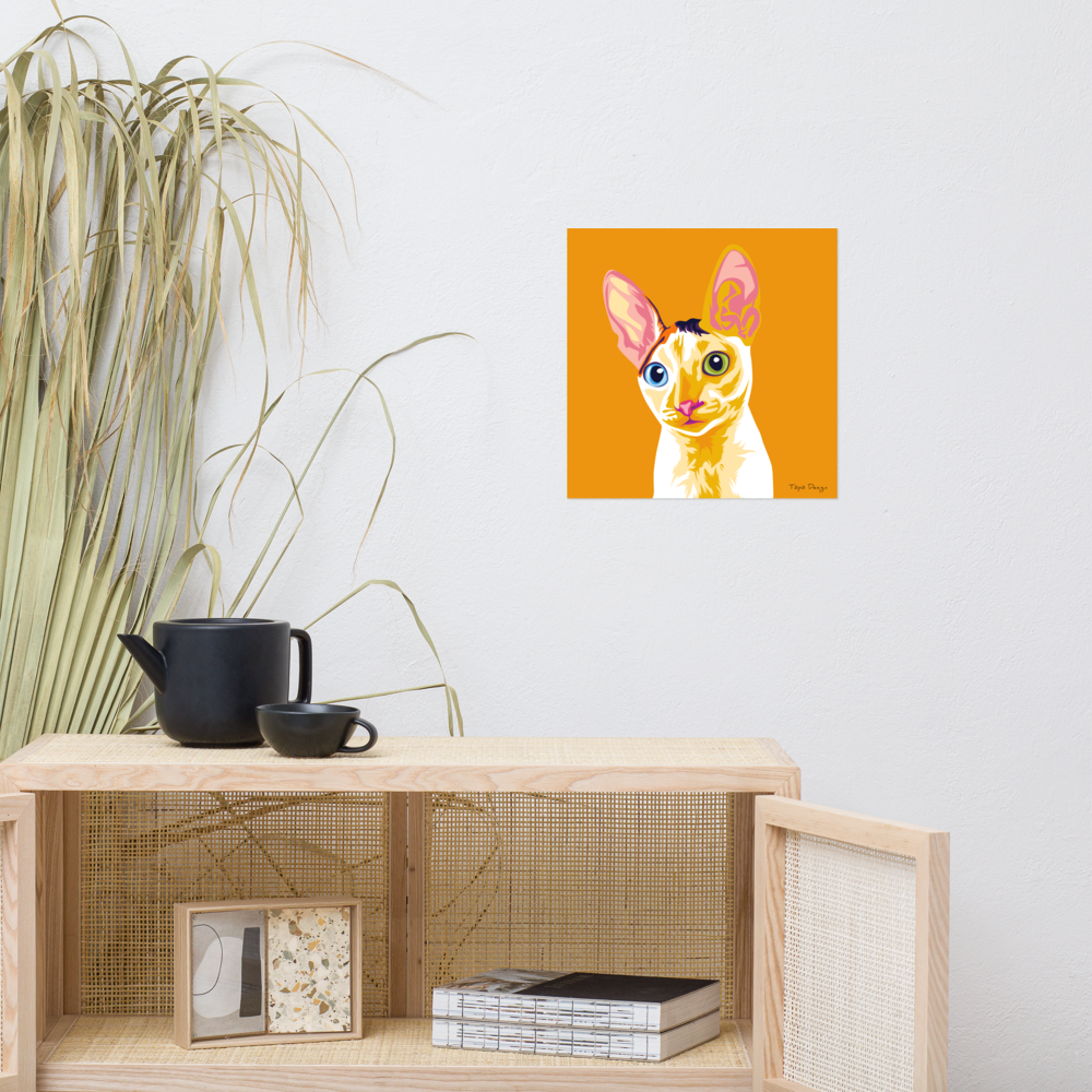 Cornish Rex kissa Juliste, Pop Art