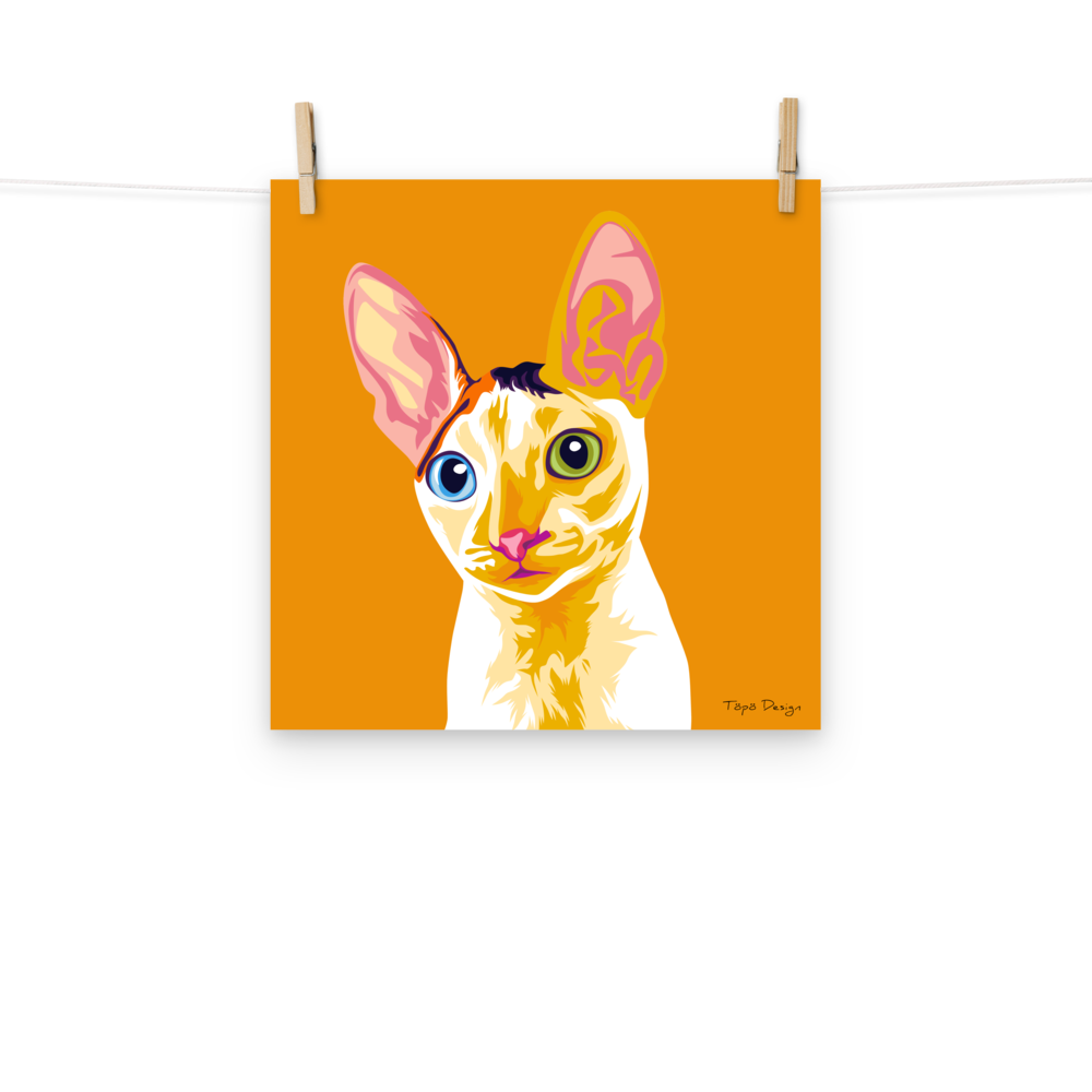 Cornish Rex kissa Juliste, Pop Art