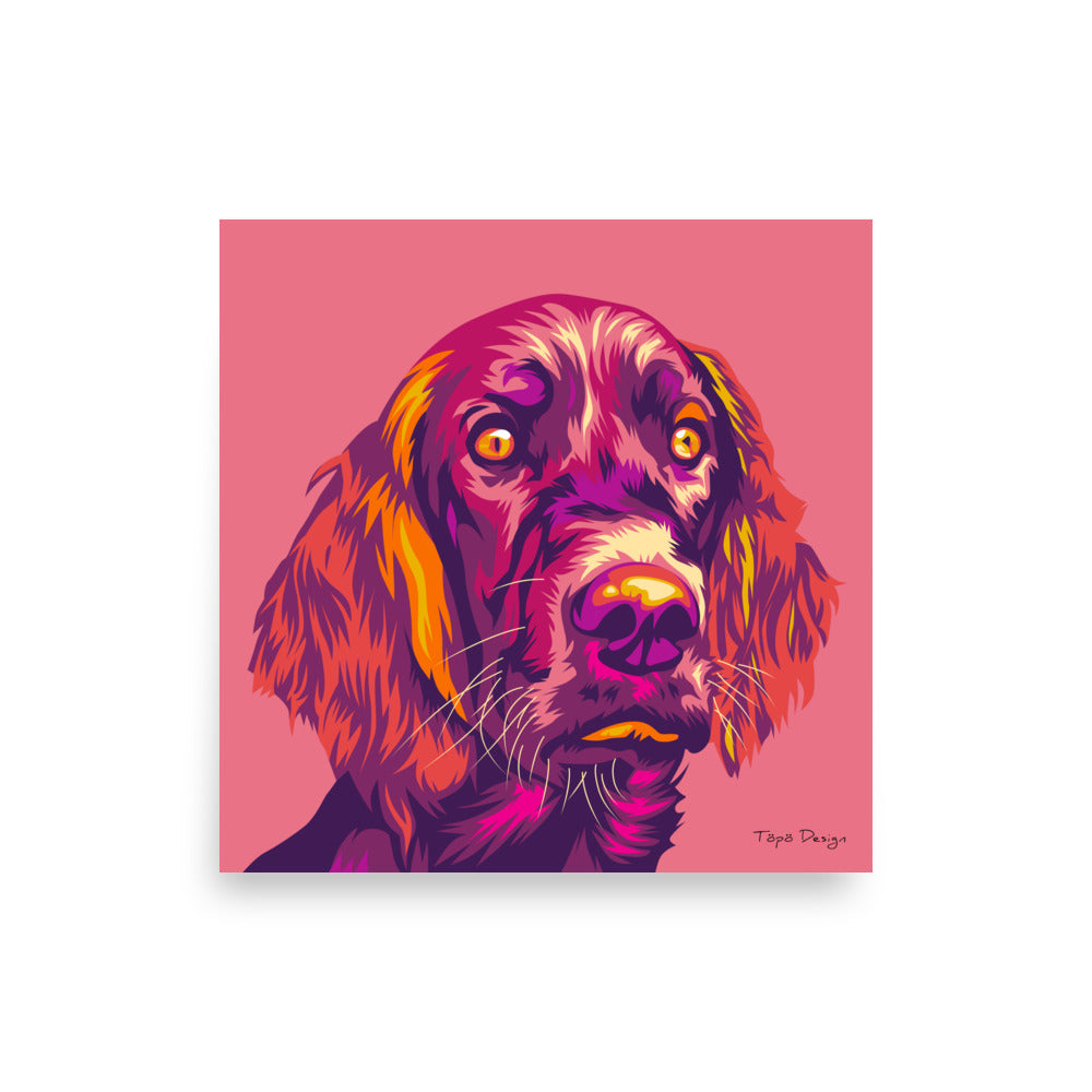 Irlannin setteri Juliste, Pop Art