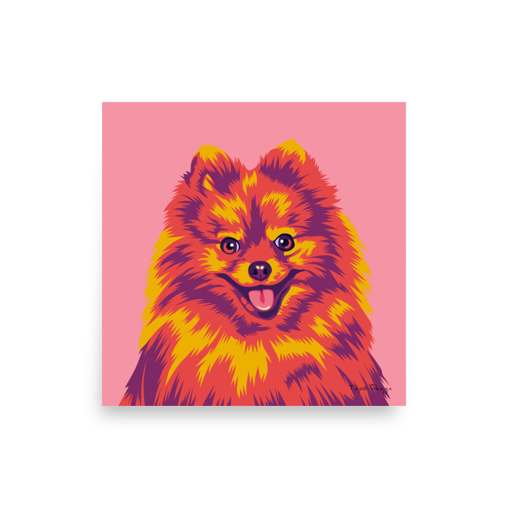 Kleinspitz Juliste, Pop Art