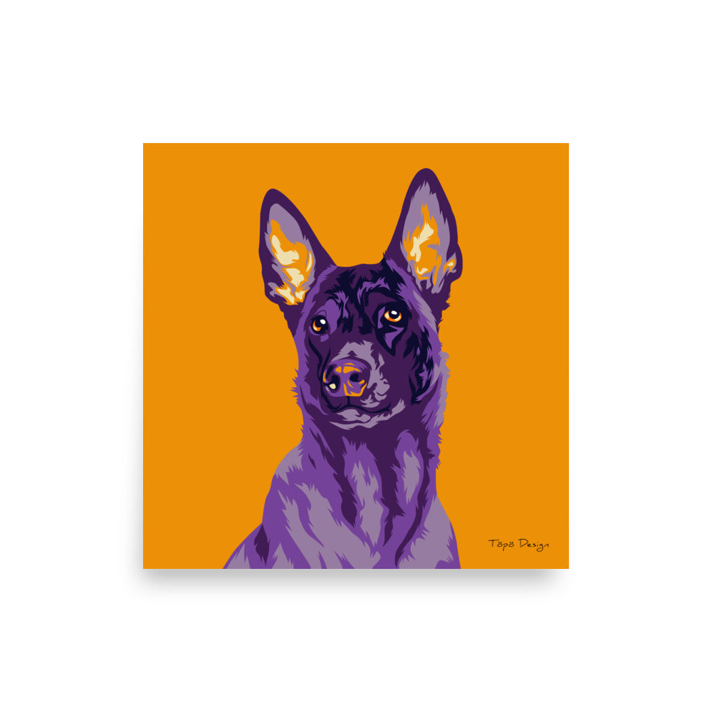Belgianpaimenkoira malinois Juliste, Pop Art
