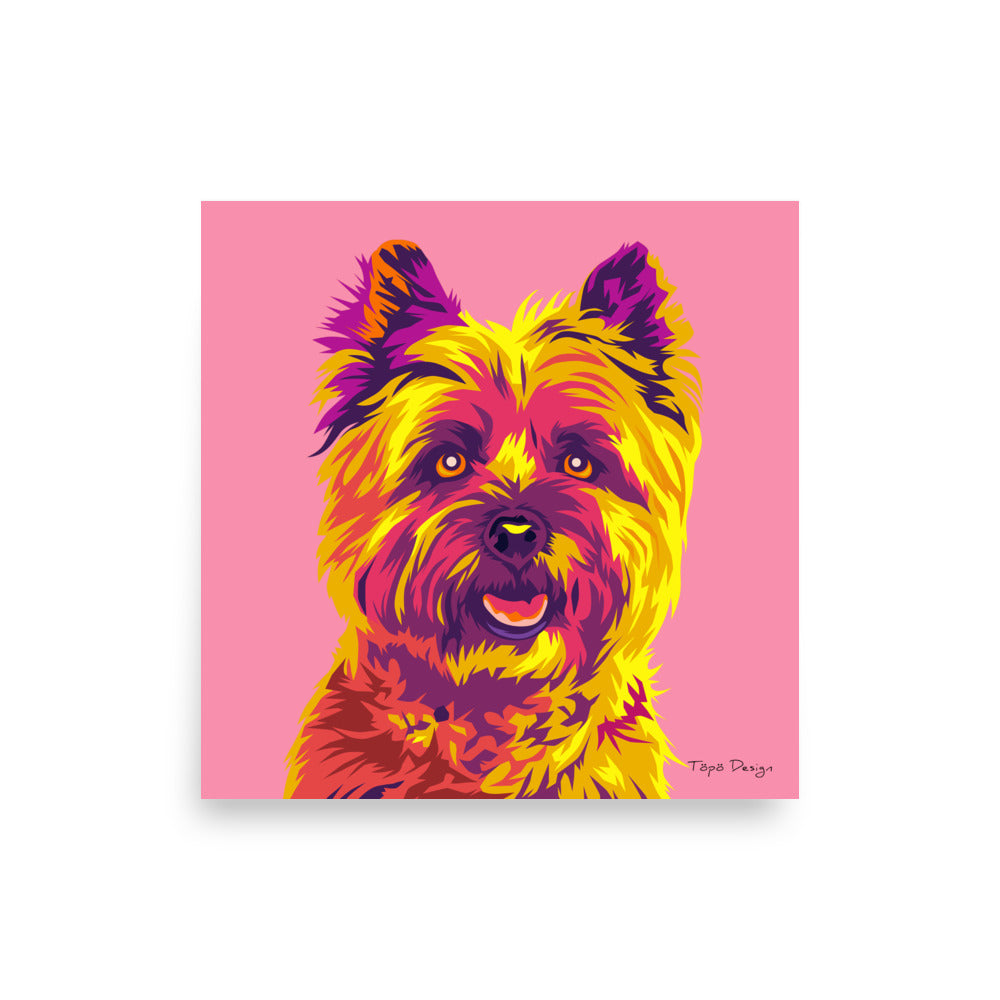 Cairnterrieri Juliste, Pop Art
