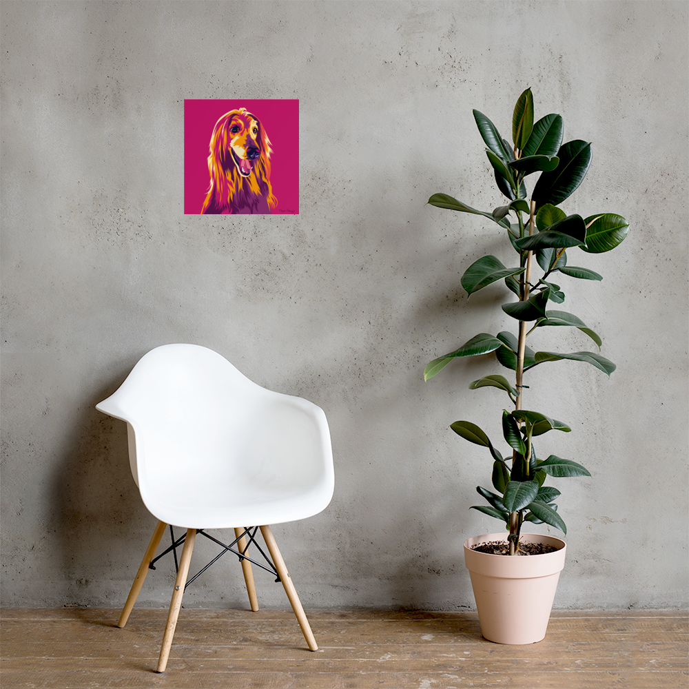 Afgaaninvinttikoira Juliste, Pop Art