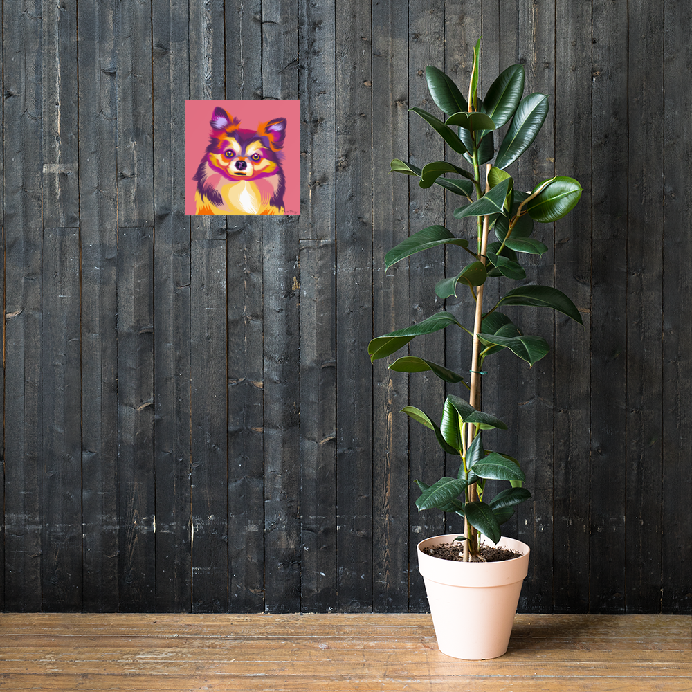 Pitkäkarvainen Chihuahua Juliste, Pop Art