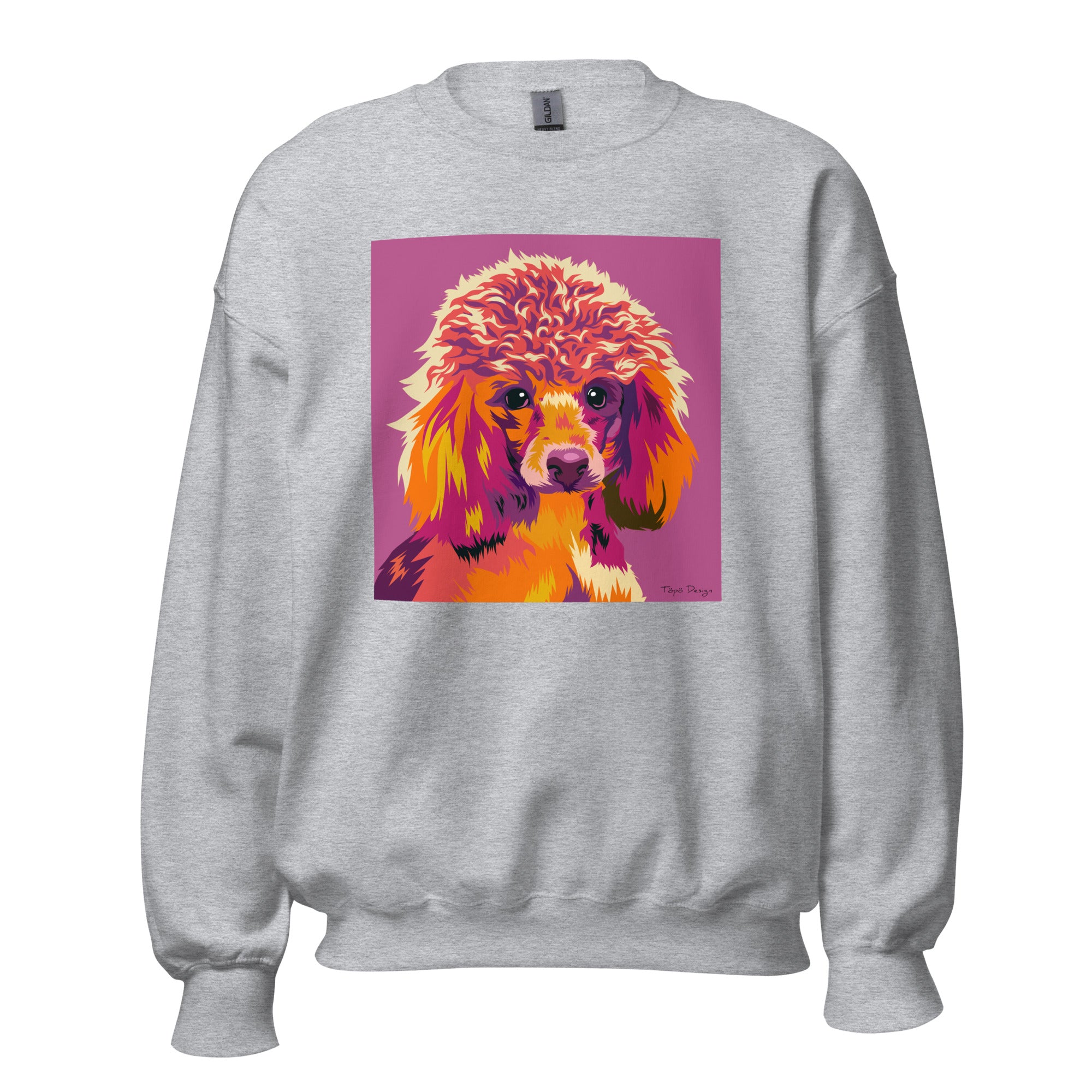 Villakoira Collegepaita, Pop Art