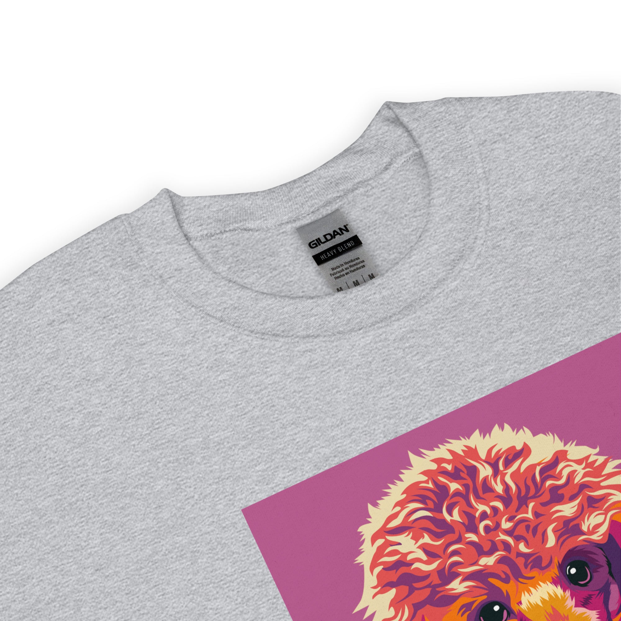 Villakoira Collegepaita, Pop Art