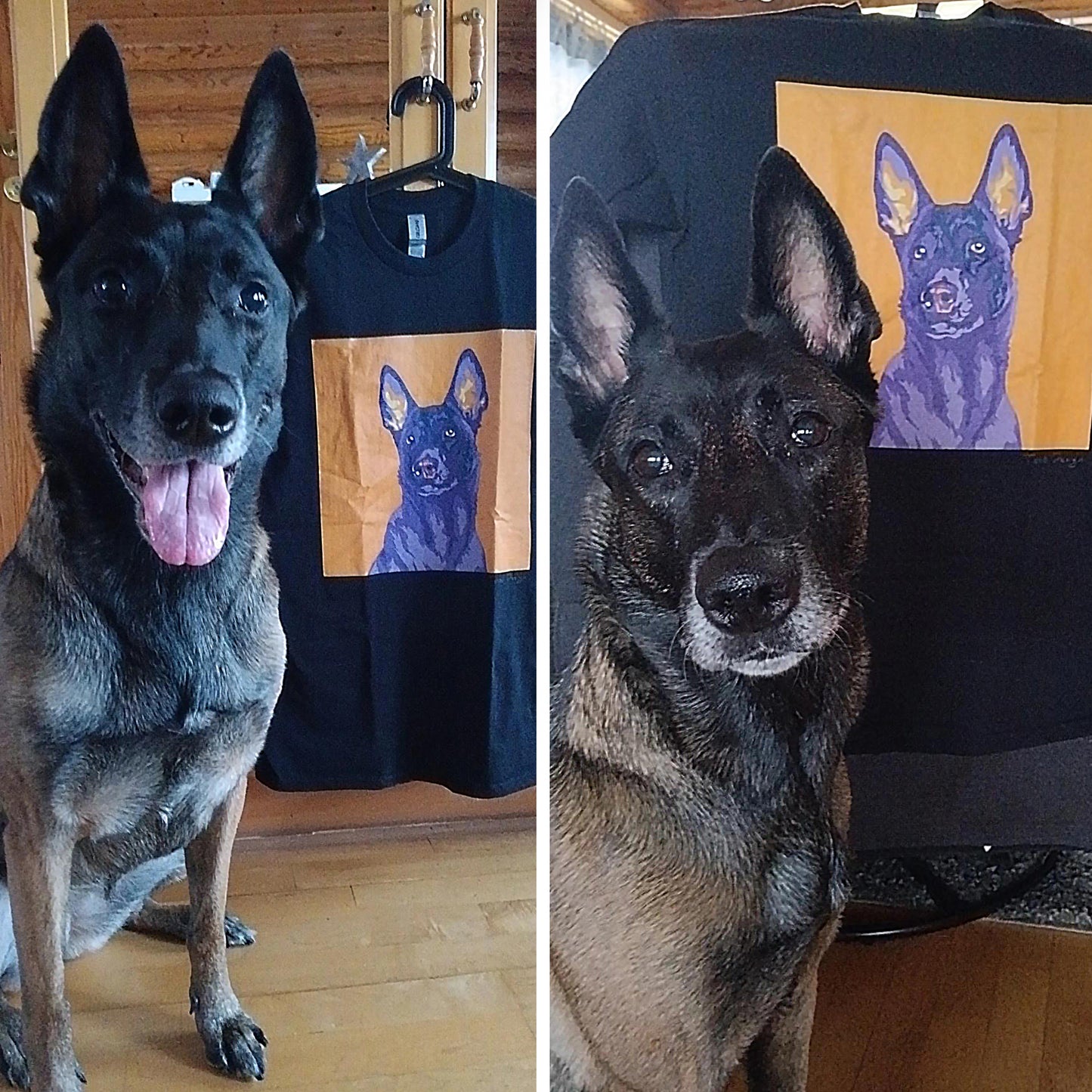 Belgianpaimenkoira malinois T-paita, Pop Art