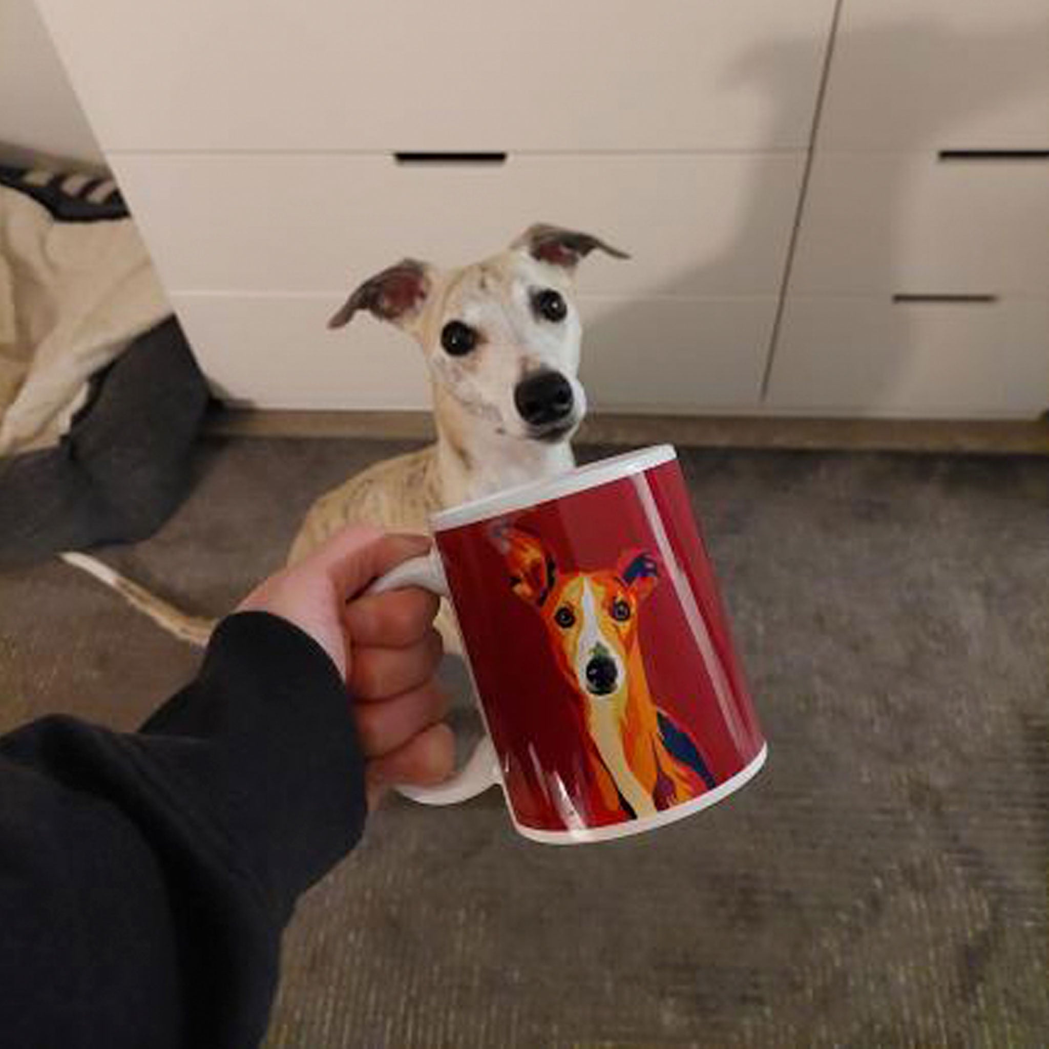Whippet muki, Pop Art