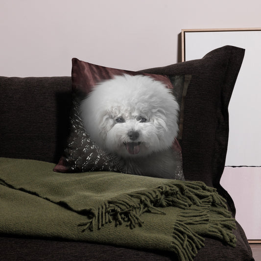 Bichon Frise Koristetyynynpäällinen, The King