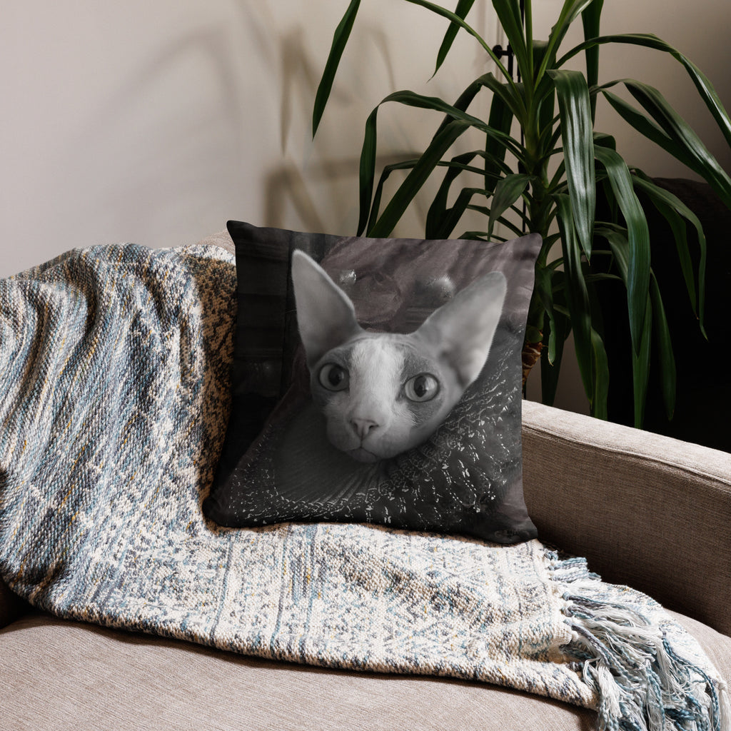 Sfinx Koristetyynynpäällinen, The King