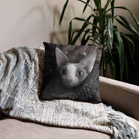 Sfinx Koristetyynynpäällinen, The King