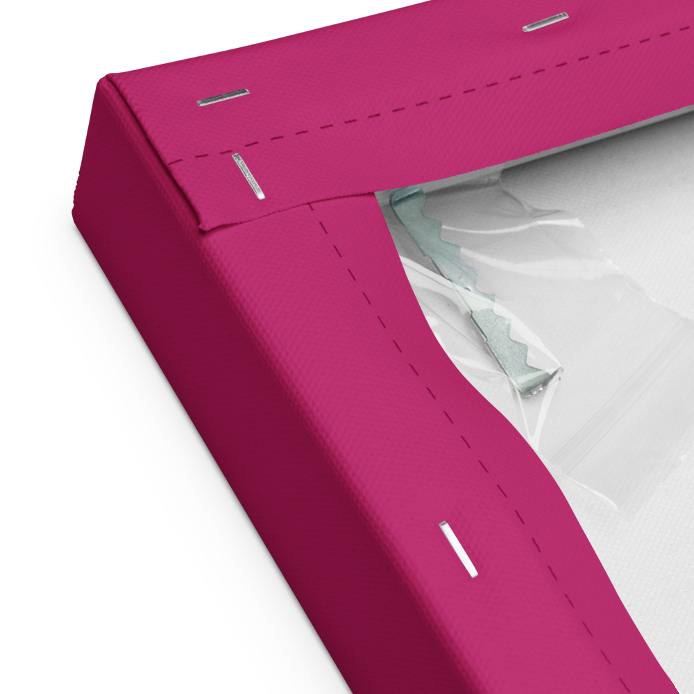 Siamilainen Canvas-taulu, Pop Art