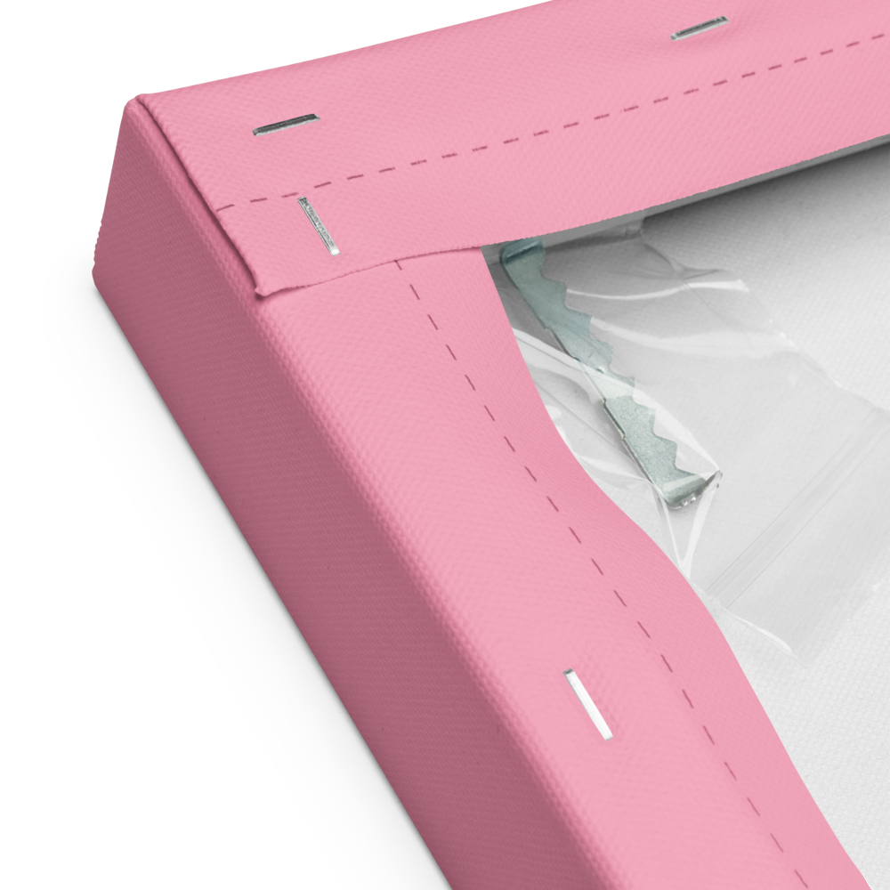 Ragdoll Canvas-taulu, Pop Art