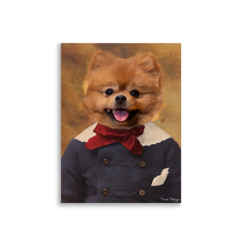 Pomeranian Juliste, The King