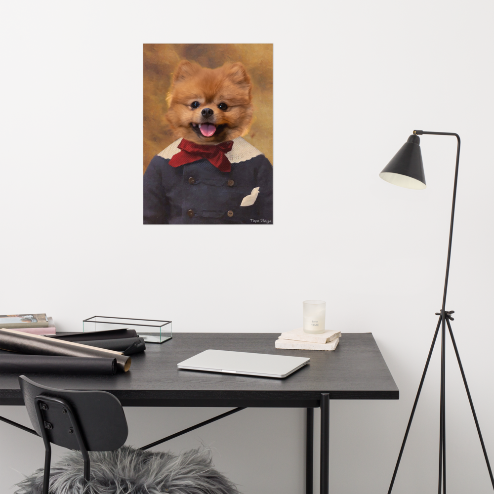 Pomeranian Juliste, The King