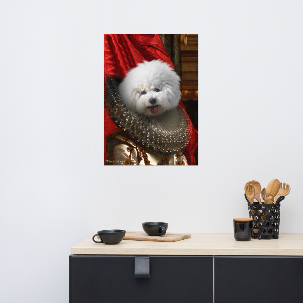 Bichon Frisé koira Juliste, The King