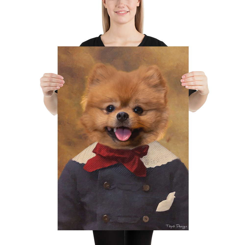 Pomeranian Juliste, The King