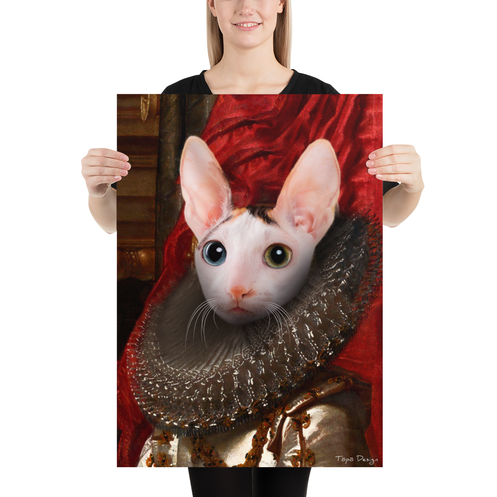 Cornish Rex kissa Juliste, The King