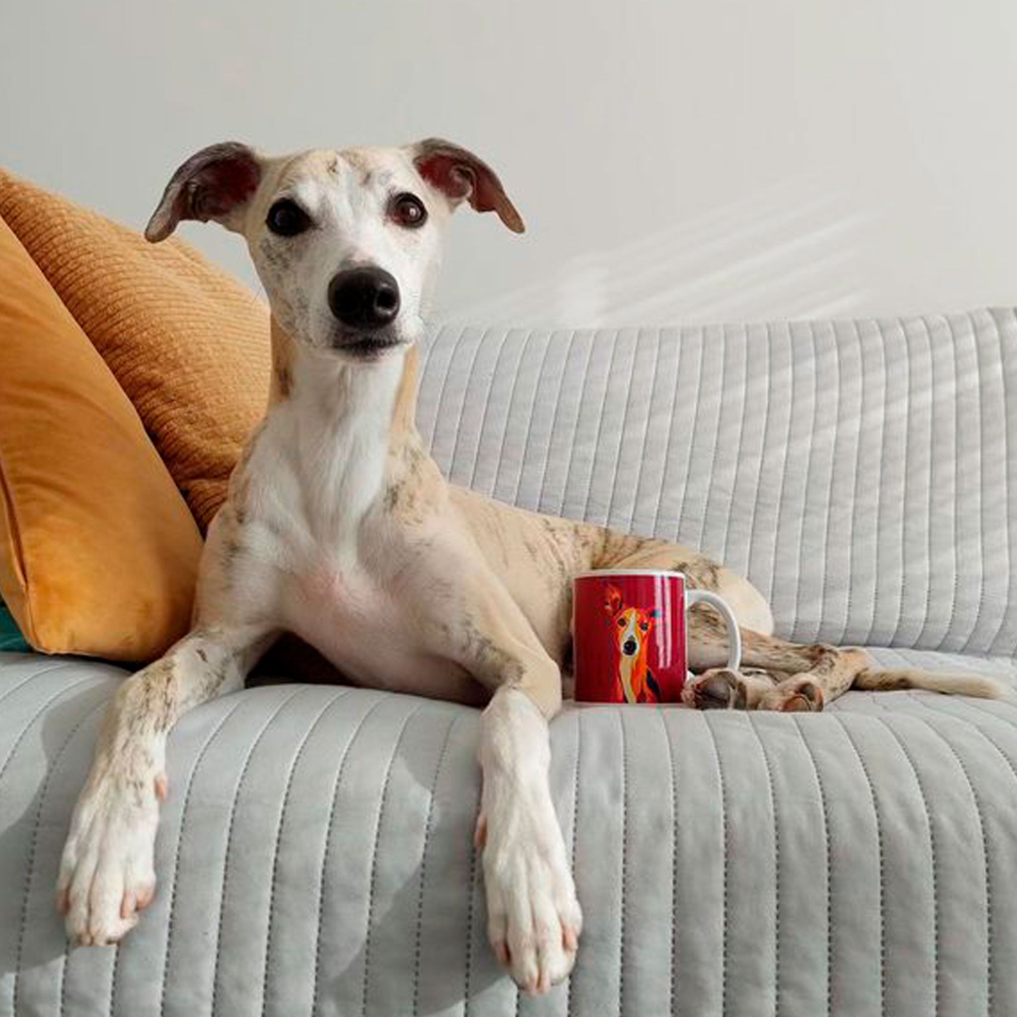Whippet muki, Pop Art