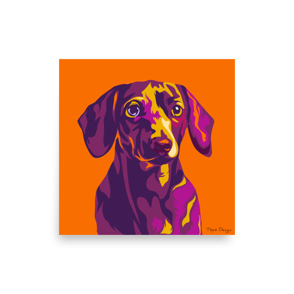 Mäyräkoira Juliste, Pop Art