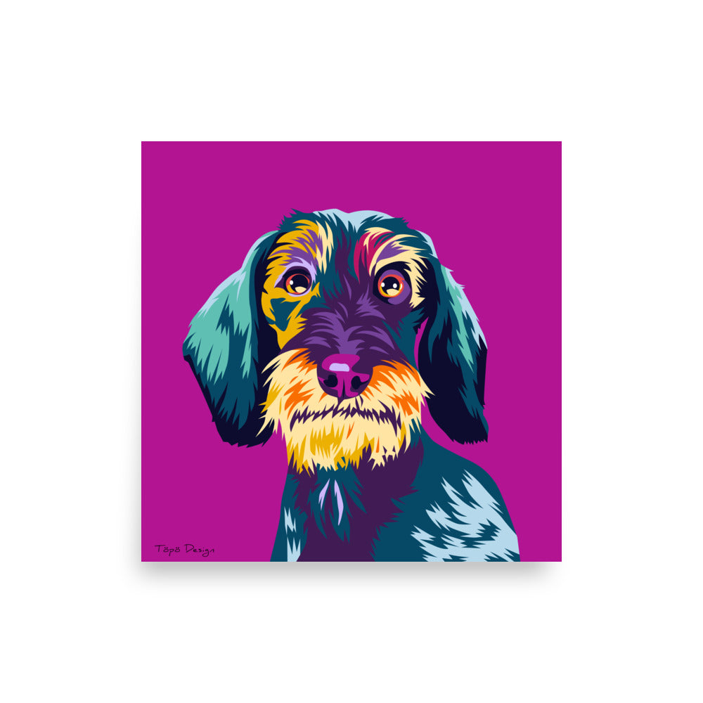 Karkeakarvainen mäyräkoira Juliste, Pop Art