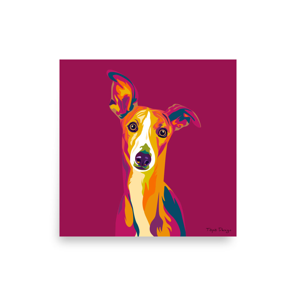 Whippet Juliste, Pop Art