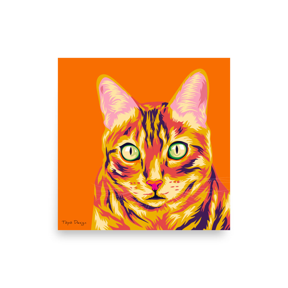 Bengali kissa Juliste, Pop Art