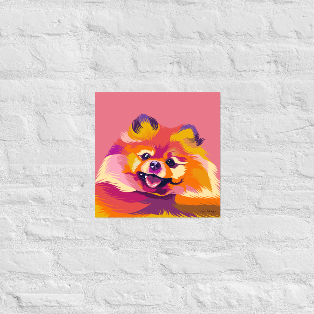 Pomeranian Juliste, Pop Art