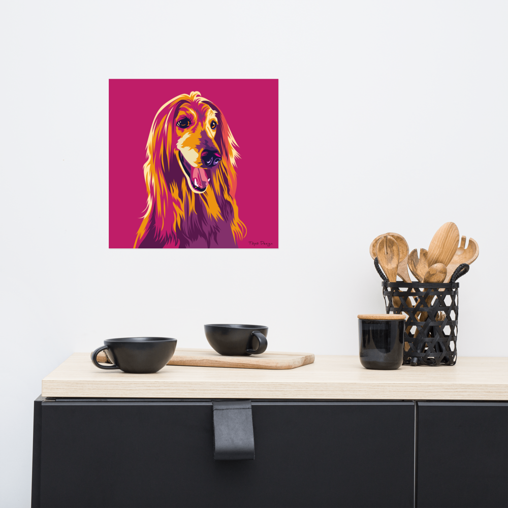 Afgaaninvinttikoira Juliste, Pop Art