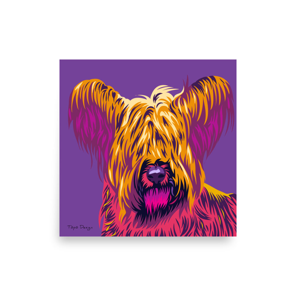 Skyenterrieri Juliste, Pop Art