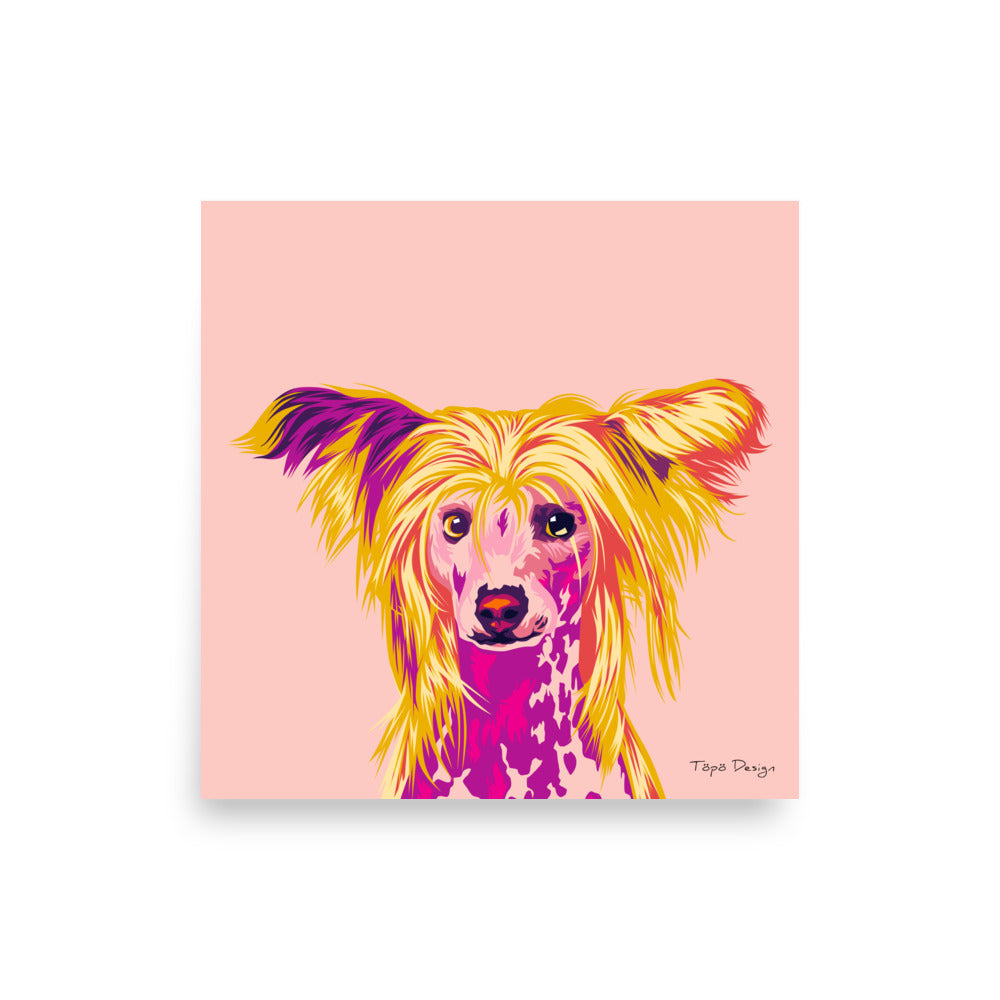 Kiinanharjakoira Juliste, Pop Art