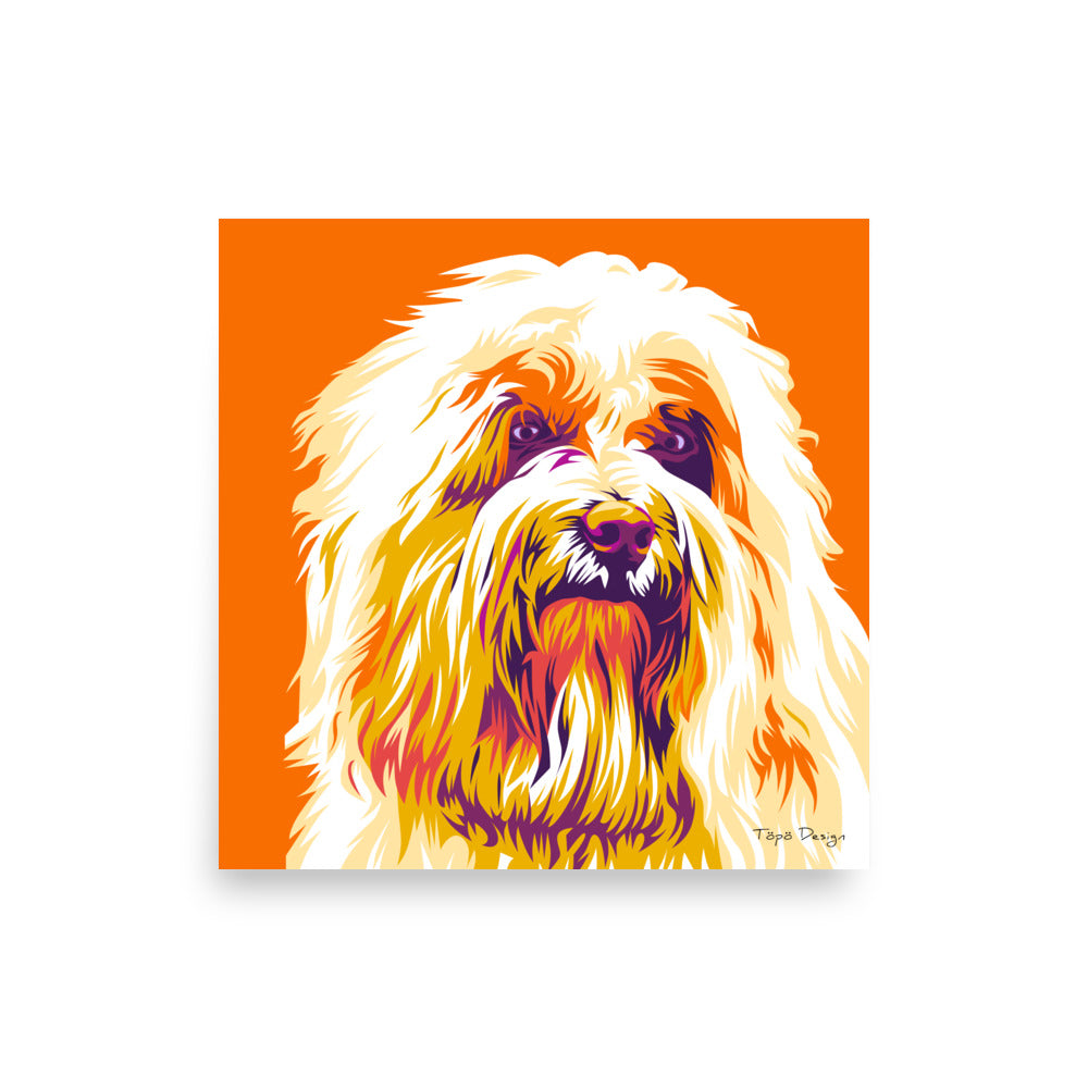 Coton de tuléar Juliste, Pop Art