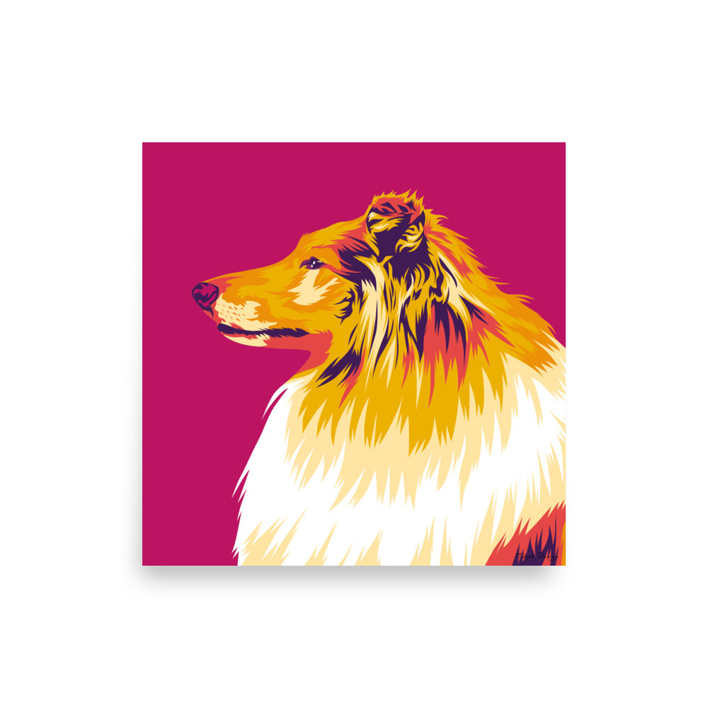 Collie sivuprofiili Juliste, Pop Art