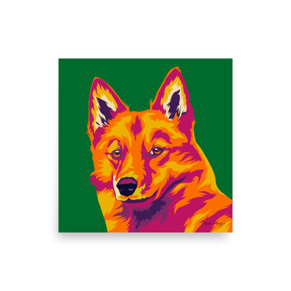 Suomenpystykorva Juliste, Pop Art