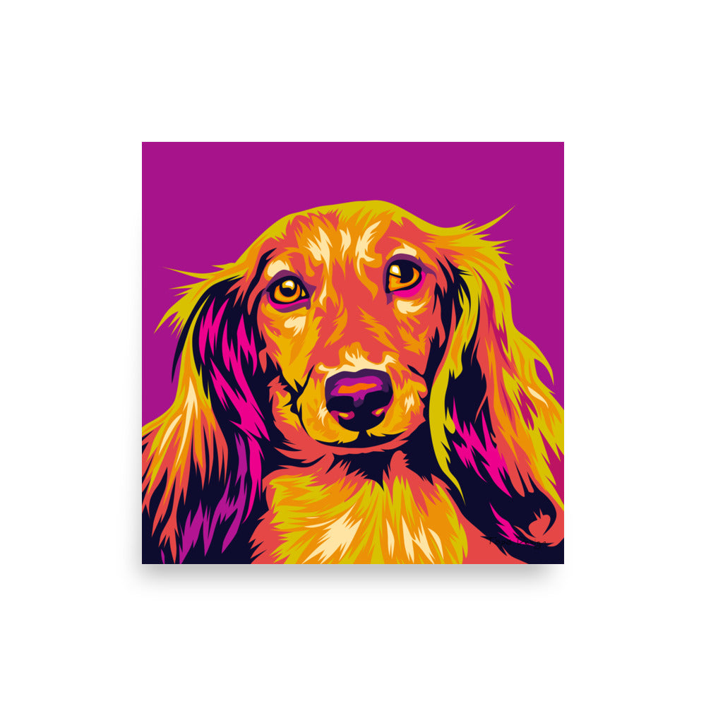 Pitkäkarvainen mäyräkoira Juliste, Pop Art