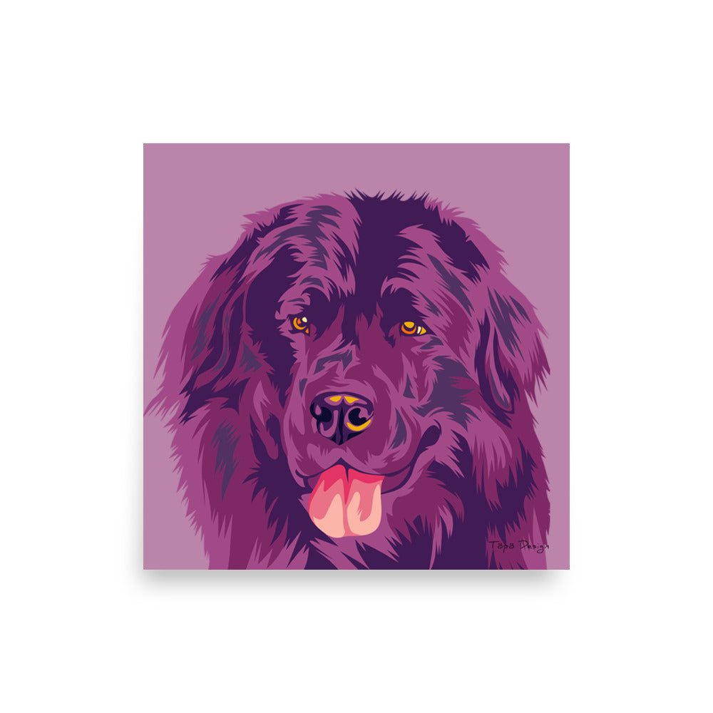 Newfoundlandinkoira Juliste, Pop Art