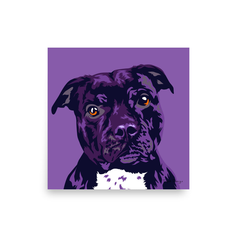 Staffi Juliste, Pop Art