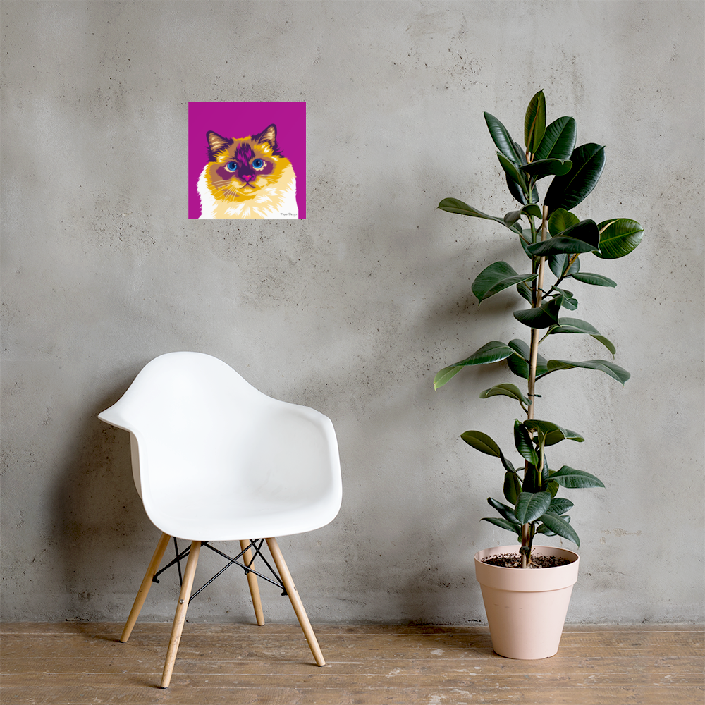 Pyhä Birma kissajuliste, Pop Art
