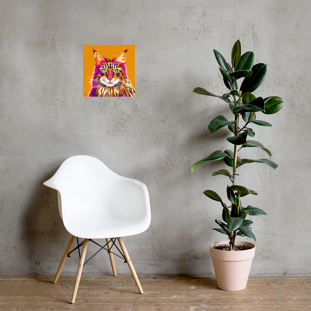 Maine Coon kissajuliste, Pop Art