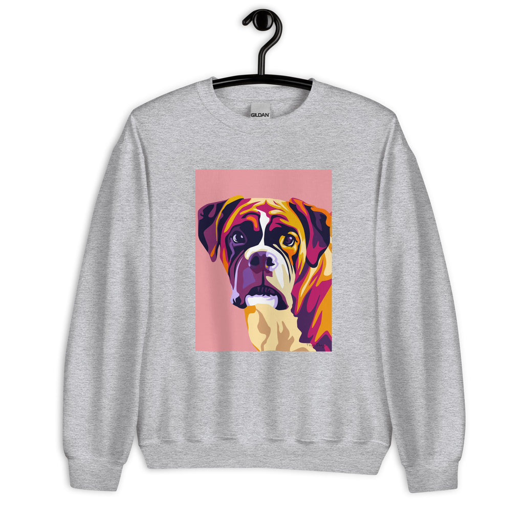 Bokseri Collegepaita, Pop Art
