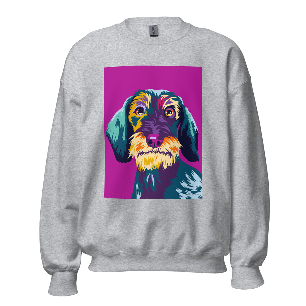Karkeakarvainen mäyräkoira Collegepaita, Pop Art